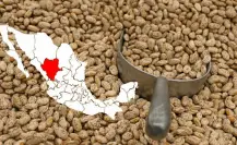En esta región producen miles de toneladas de frijol y está a 60 minutos de Durango