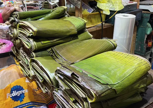 Día de la Candelaria: Precio de las hojas de tamal se dispara en Tamaulipas