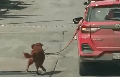 Perrito es jalado por camioneta en calles de Tampico | VIDEO