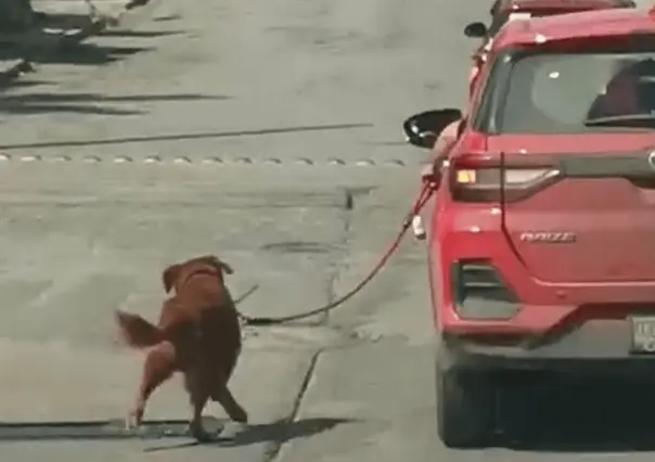 Perrito es jalado por camioneta en calles de Tampico | VIDEO