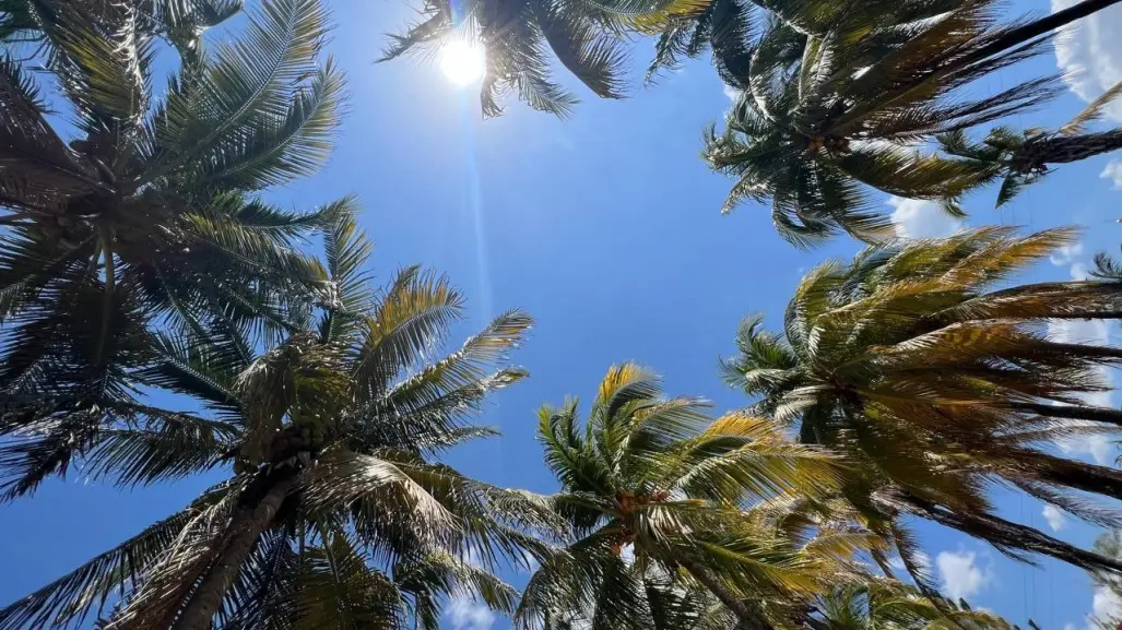 Yucatán se prepara para un repunte en las temperaturas: ¿Qué piensan los yucatecos?