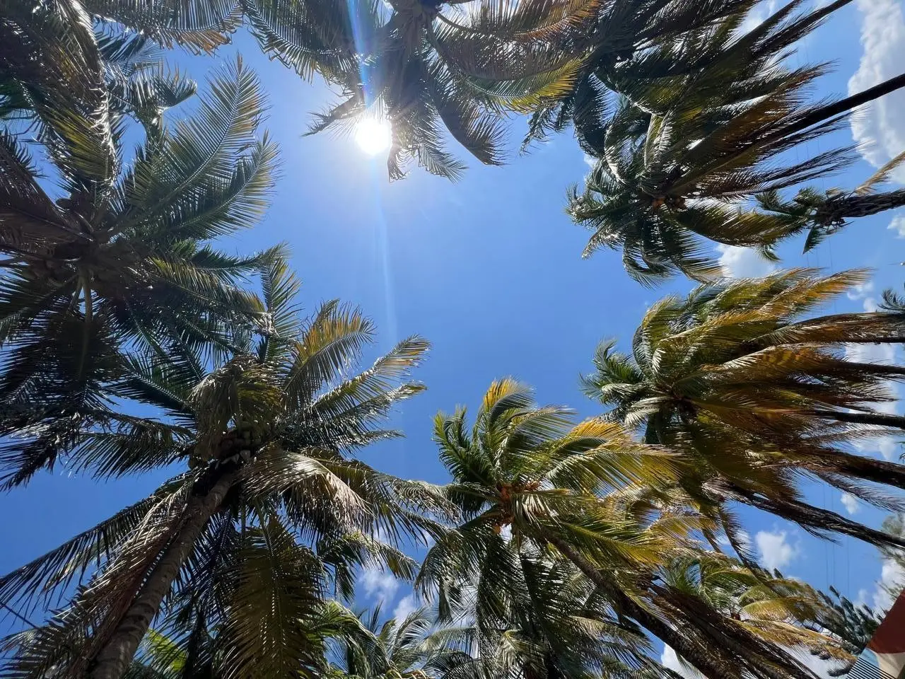 ¿Hace falta el calor en Yucatán?. Foto: Adity Cupil