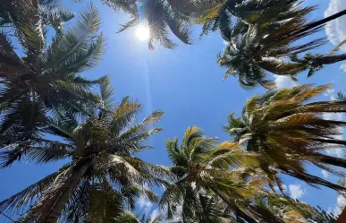 Yucatán se prepara para un repunte en las temperaturas: ¿Qué piensan los yucatecos?