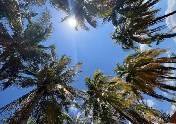 Yucatán se prepara para un repunte en las temperaturas: ¿Qué piensan los yucatecos?