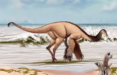 ¿Un dinosaurio coahuilense? Conoce al dragón de manos largas