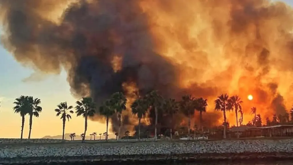 ¡Fuera de control! Incendio en Estero de San José del Cabo no logra ser apagado