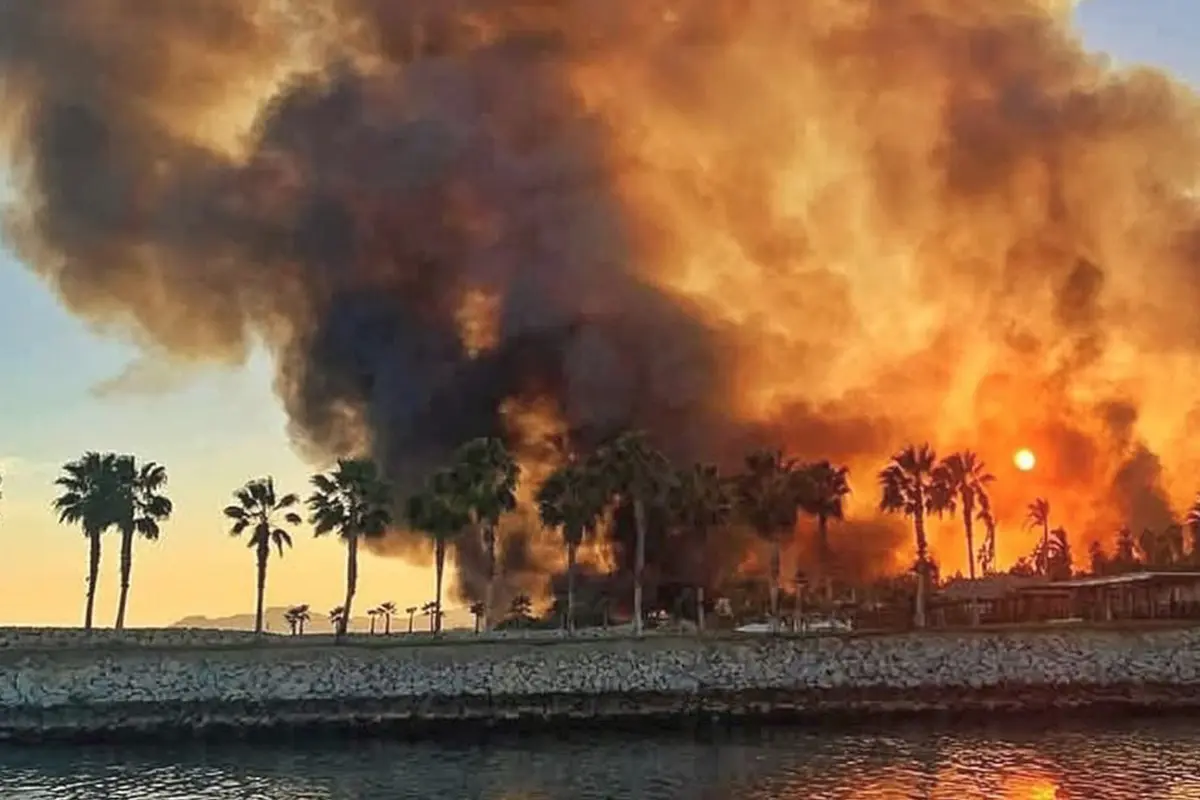 El incendio en el estero de San José del Cabo va por casi 8 horas sin que se haya sofocado por completo. Fotografías: Erick Arista.