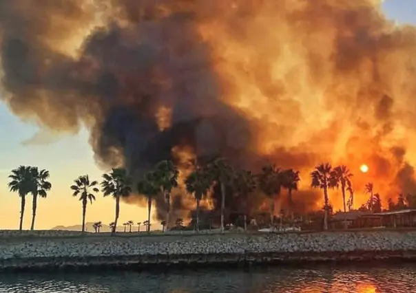 ¡Fuera de control! Incendio en Estero de San José del Cabo no logra ser apagado