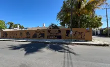 Murales de anime embellecen calles del fraccionamiento Vergel II en Mérida