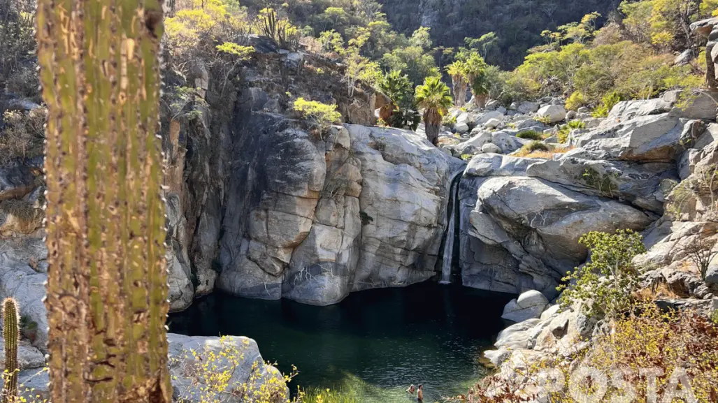 ¿Ya planeaste el puente del 3 de febrero? Escapa con tu familia a este lugar en Los Cabos