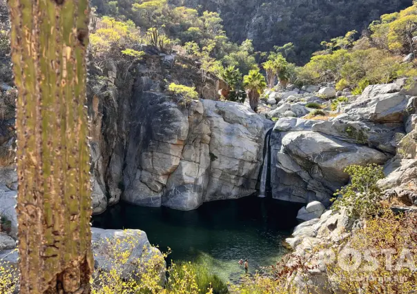 ¿Ya planeaste el puente del 3 de febrero? Escapa con tu familia a este lugar en Los Cabos