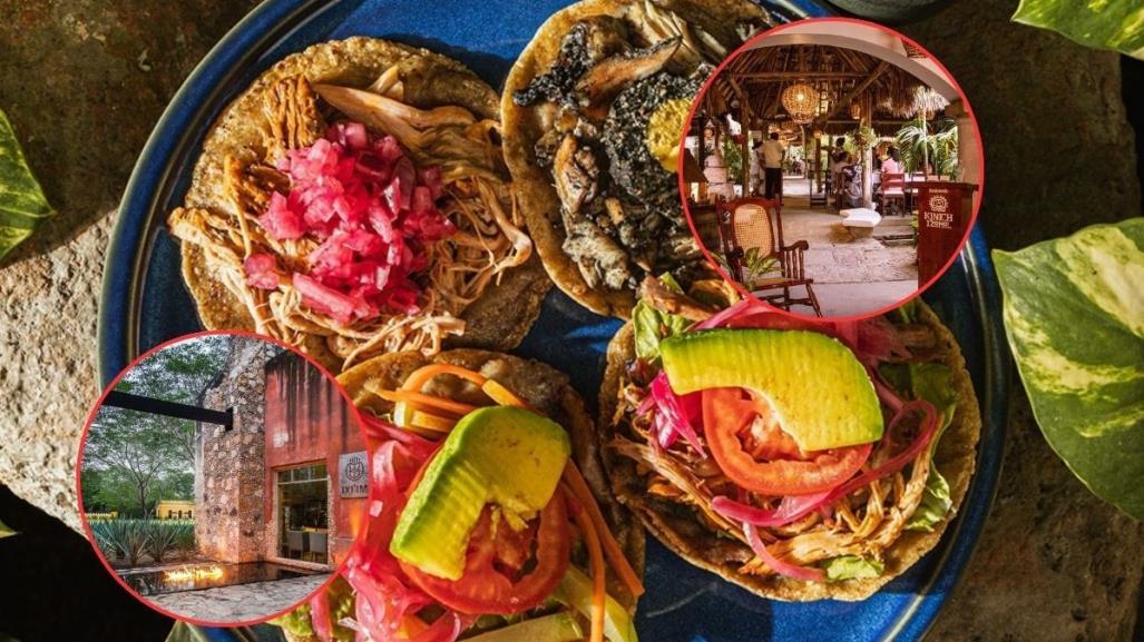 Conoce los restaurantes yucatecos recomendados por la Guía México Gastronómico 2025