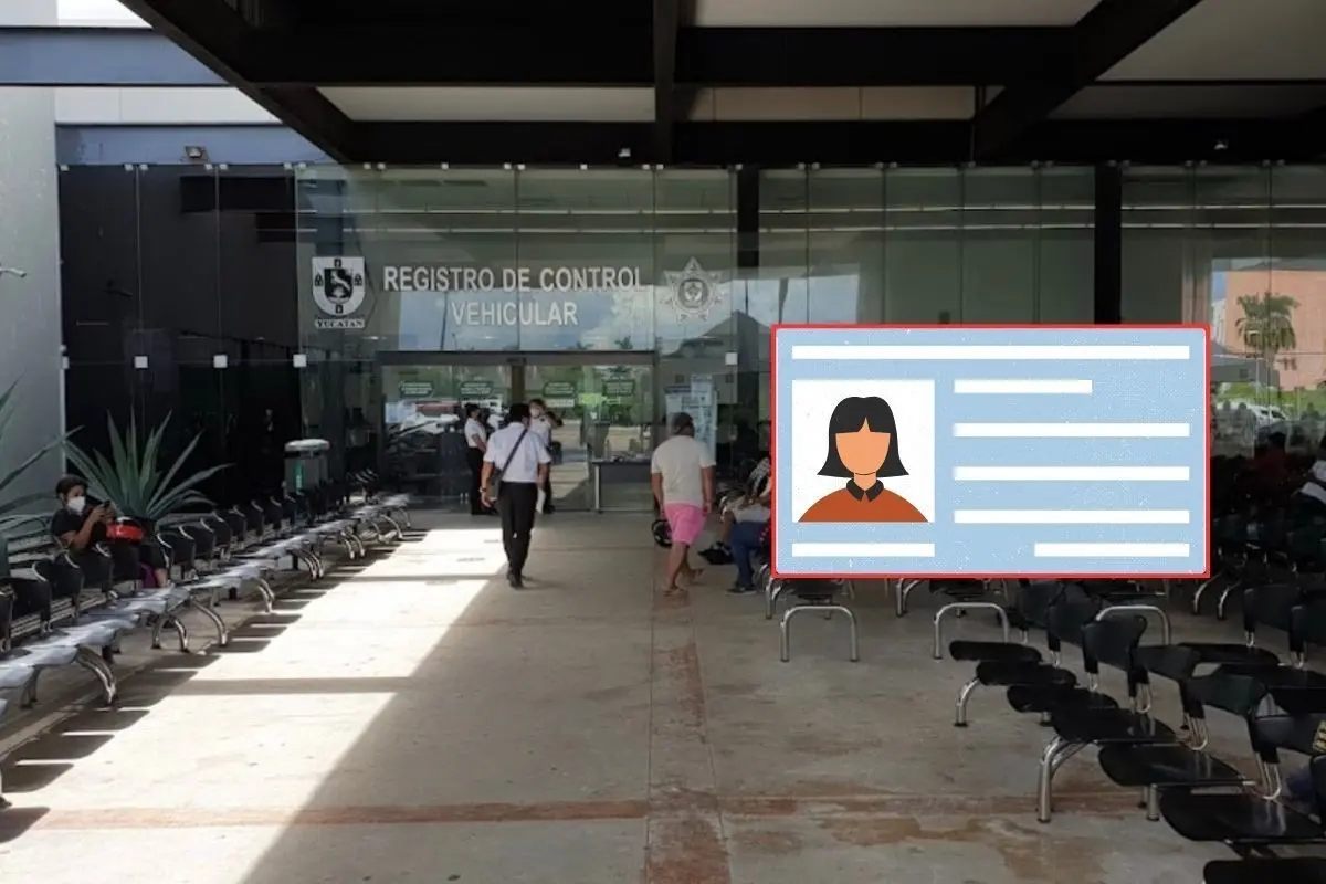 La SSP dispone de varios tipos de licencia para que los guiadores puedan manejar vehículos según su tamaño y necesidades.- Fuente Google y Canva