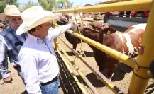 ¿Cuáles son los beneficios de los estímulos fiscales entregados a los ganaderos de Coahuila?
