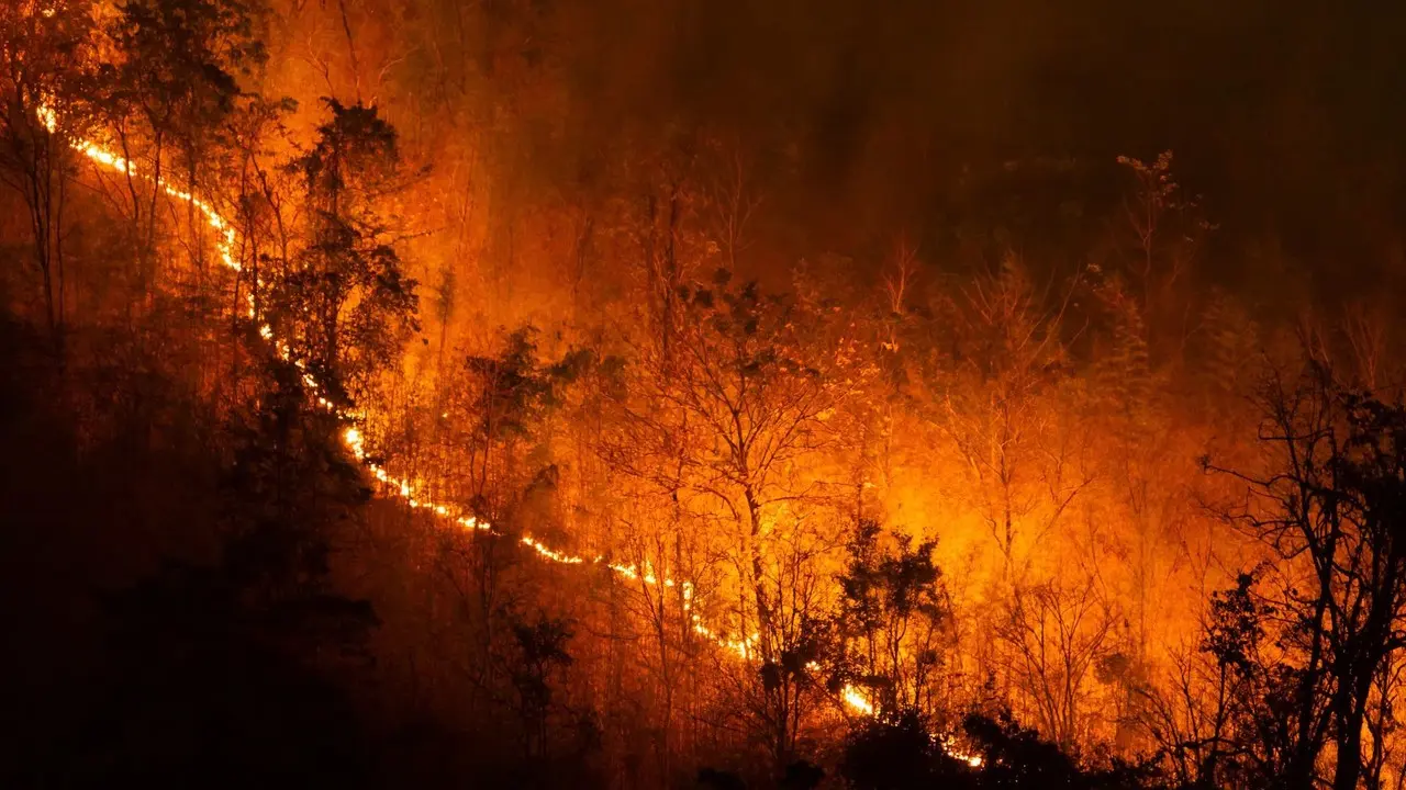 Incendios que debastaron a Los Ángeles están controlados según las autoridades. Foto: Archivo