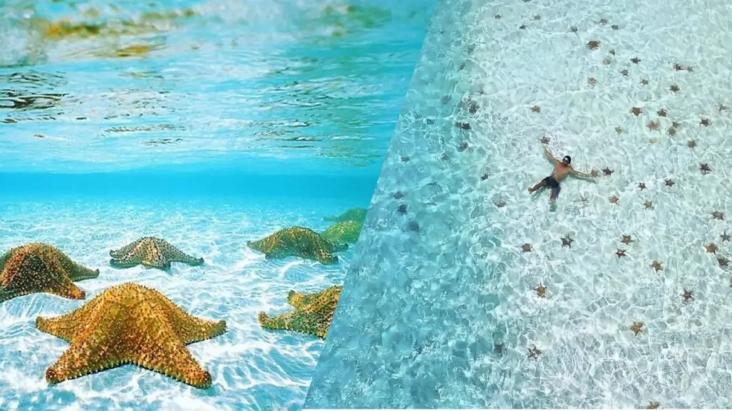 ¿Qué hacer en El Cielo, la playa de Cozumel donde las estrellas están en el mar?