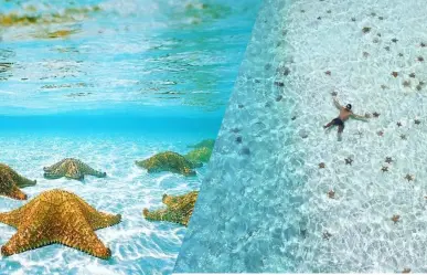 ¿Qué hacer en El Cielo, la playa de Cozumel donde las estrellas están en el mar?