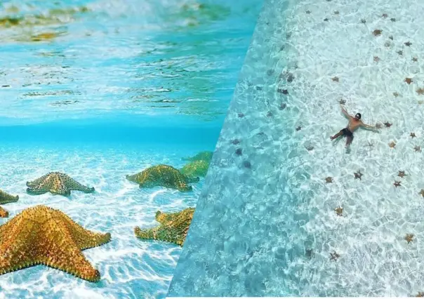 ¿Qué hacer en El Cielo, la playa de Cozumel donde las estrellas están en el mar?