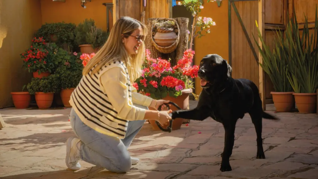 El restaurante pet friendly que está a pocos minutos de la Catedral de Durango