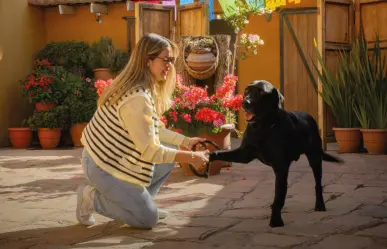 El restaurante pet friendly que está a pocos minutos de la Catedral de Durango