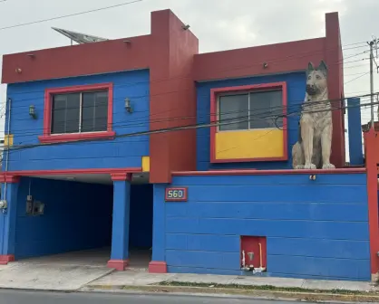 Cuánto cuesta hospedarse en la casa del perro gigante en AirBnB en San Pedro