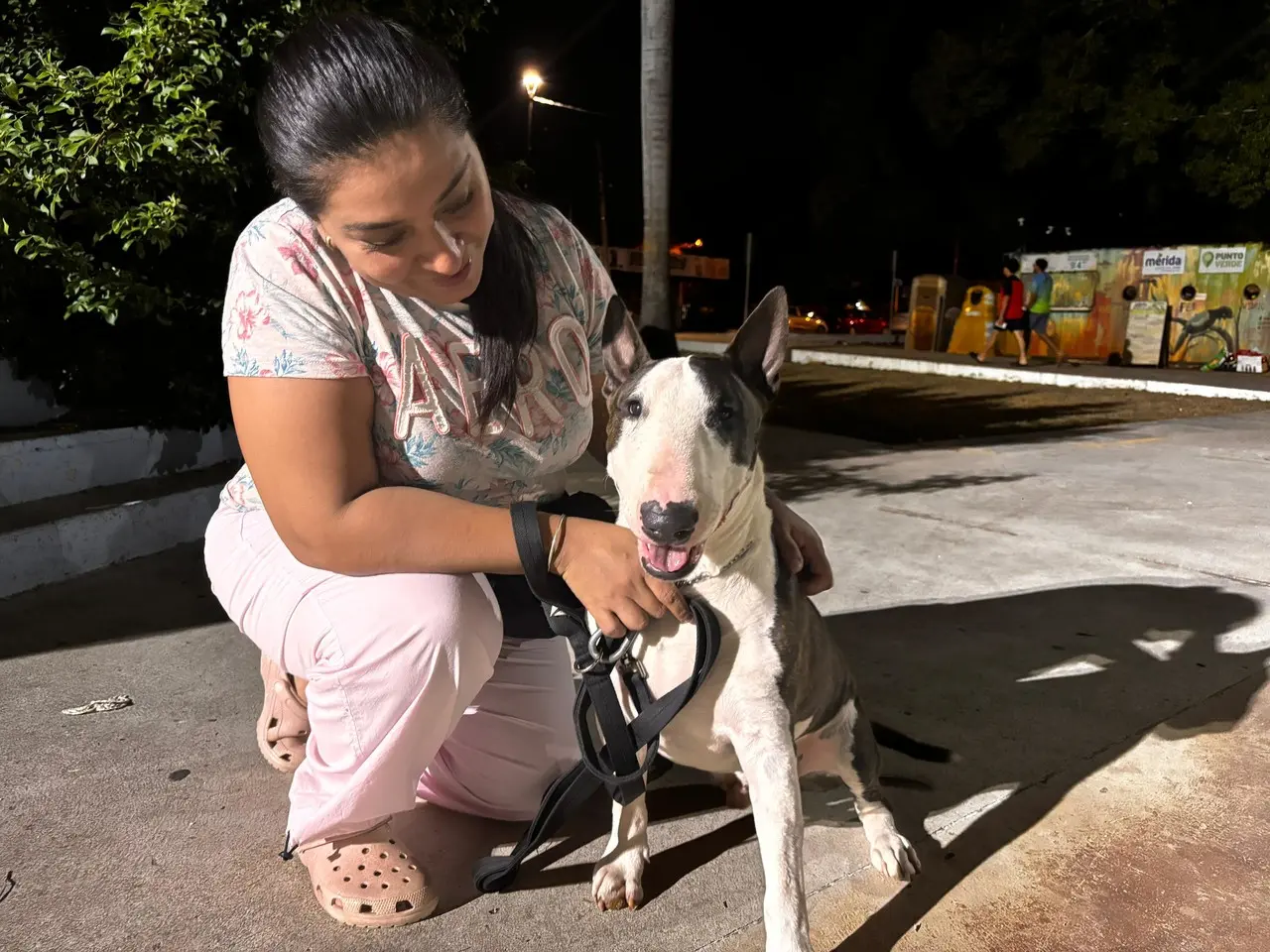 ¿Todos los perros son entrenables?. Foto: Alejandra Vargas