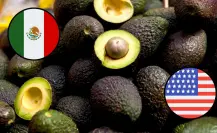 ¿Cuál es la empresa de Sabinas, Coahuila, que exporta aguacate a Estados Unidos?