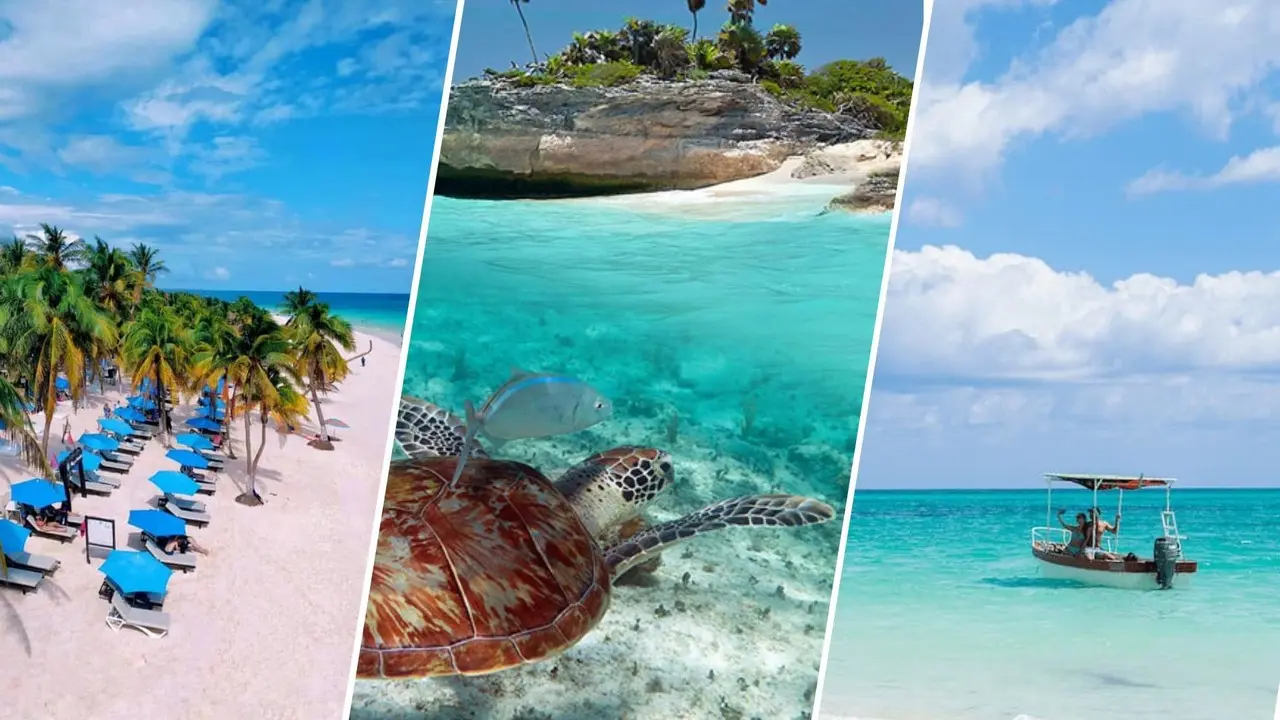 ¿Qué playas son parte de la Riviera Maya? Foto: Ilustrativas/Dolphin Discover/Hoteles Catalonia