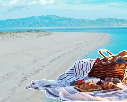 5 actividades para hacer durante un picnic en la playa en BCS