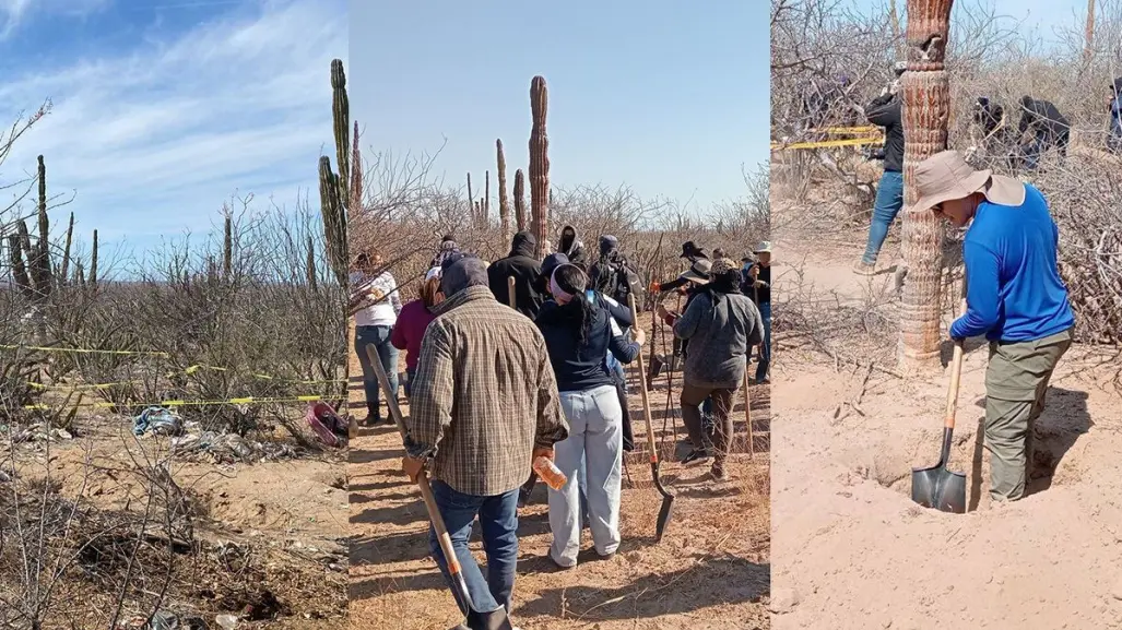 Encuentran 7 fosas clandestinas en La Paz durante jornada de búsqueda