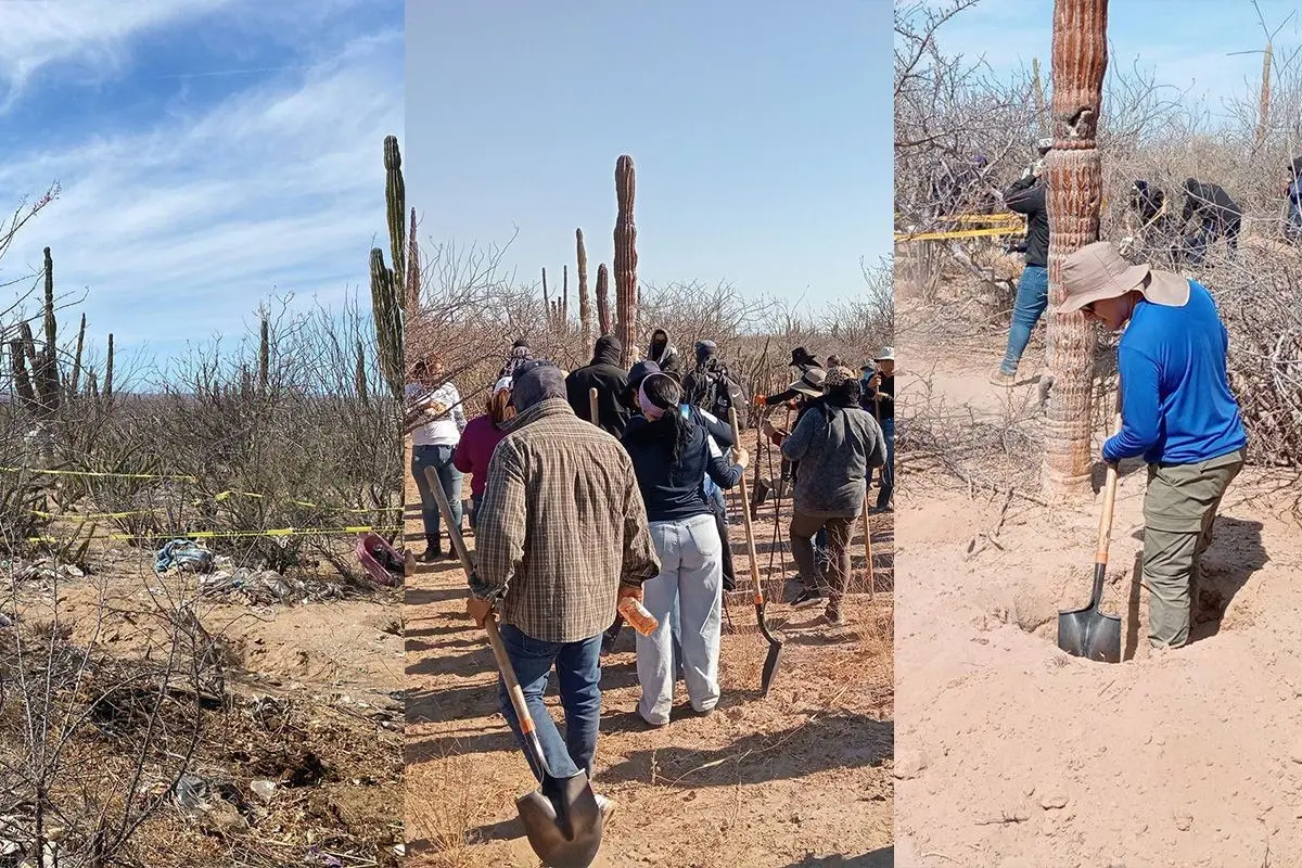 Encuentran 7 fosas clandestinas en La Paz durante jornada de búsqueda