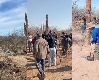 Encuentran 7 fosas clandestinas en La Paz durante jornada de búsqueda