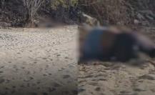 Hallan cuerpo sin vida cerca de la UABCS en La Paz