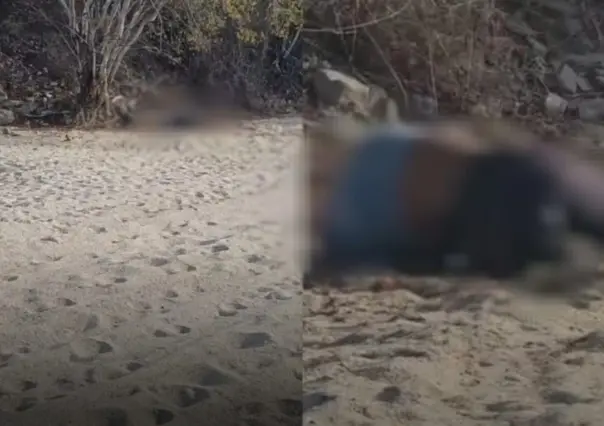 Hallan cuerpo sin vida cerca de la UABCS en La Paz