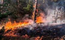 Incendios forestales en el Edomex: estrategias para evitar la quema de pastizales