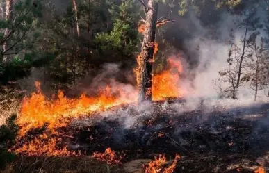 Incendios forestales en el Edomex: estrategias para evitar la quema de pastizales