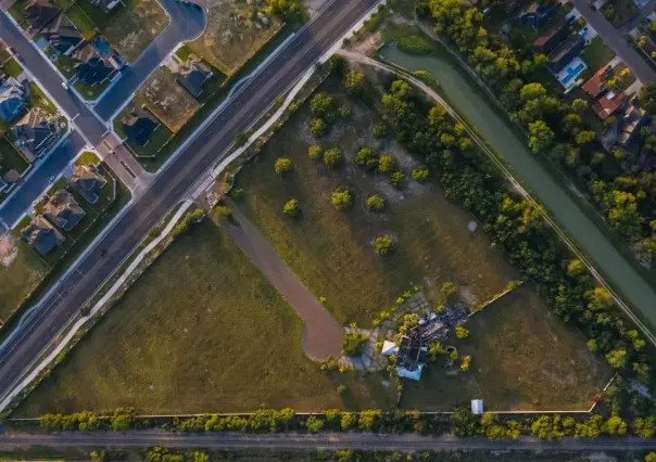 Los árboles nativos de Nuevo León y la clave para un entorno urbano sustentable