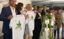 Producción de vainilla en Veracruz ha disminuido drásticamente, ¿Cuál es la razón?