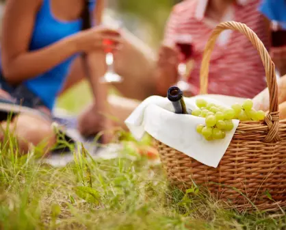 Día de San Valentín: ¿Cuánto cuesta organizar un picnic en Tamaulipas?