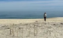 ¿Por qué está prohibido circular con razers en playas de Baja California Sur?
