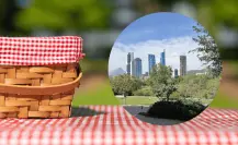 Conoce el Parque Rufino Tamayo, el mejor lugar para ir de picnic con tu pareja este 14 de febrero