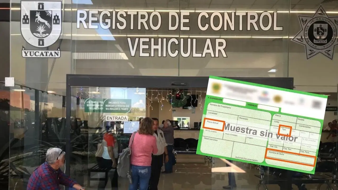 ¿Cómo realizar el refrendo vehicular en 2025?. Foto: SSP - Canva