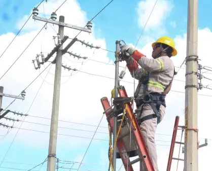 Identifican a los cuatro trabajadores de la CFE que fueron secuestrados y ejecutados en Oaxaca