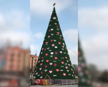 Reynosa reutiliza el pino de navidad y se convierte en el árbol del amor