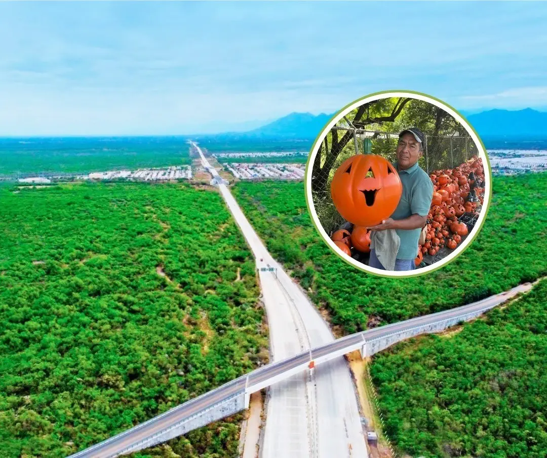 Un vendedor de calabazas en la zona que conecta al Nuevo Periférico con la Carretera Nacional. Foto: Canva/POSTA MX Archivo.