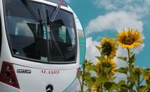 Transporte de Nuevo León: descubre la ruta para llegar al campo de girasoles de Laguna de Sánchez