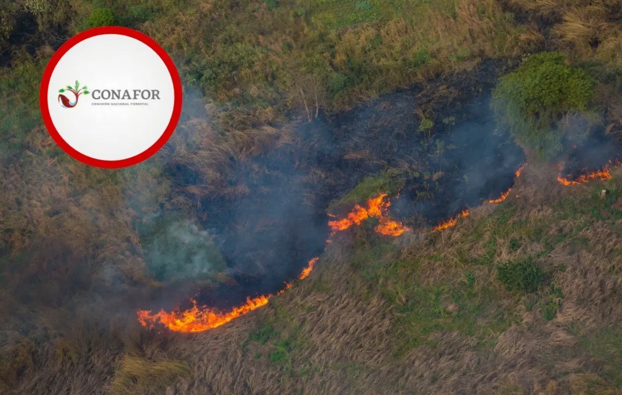 La Comisión Nacional Forestal informó que Durango es una de las entidades con más afectaciones de incendios forestales. Foto: Especial.