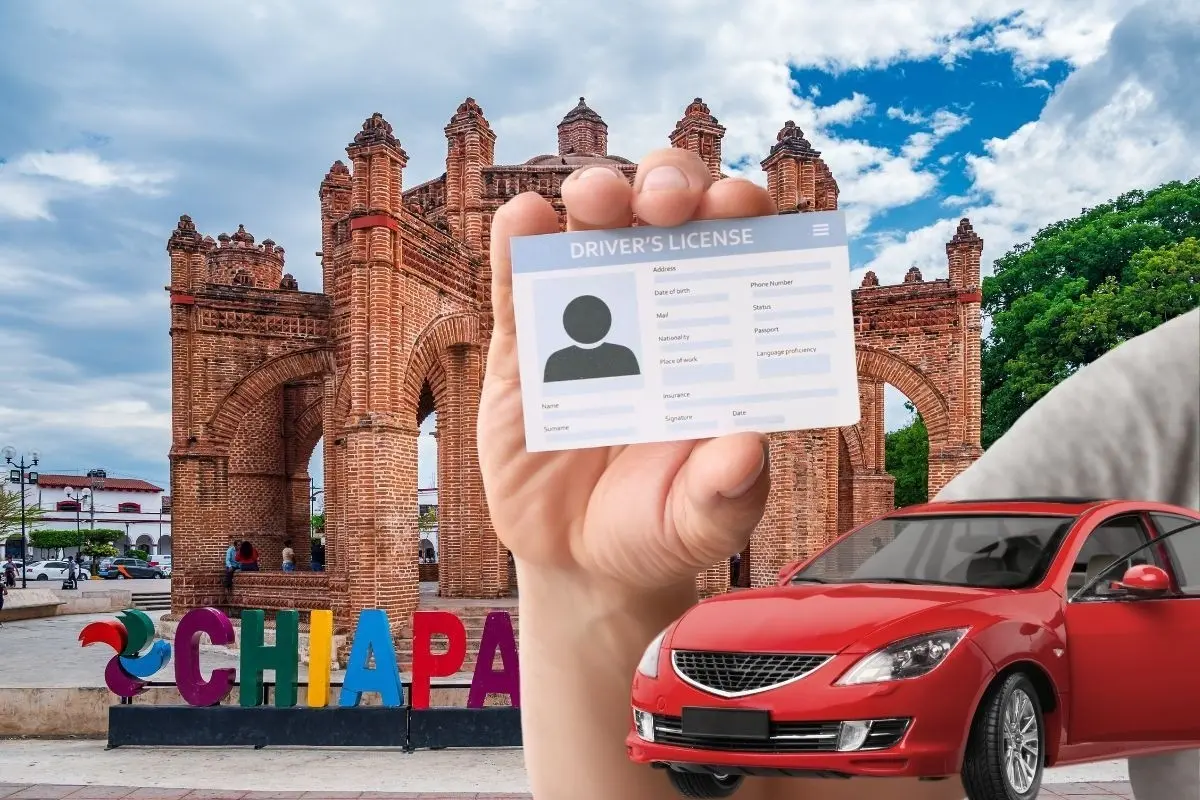 Chiapas ha establecido nuevos precios para su licencia de conducir Foto: Canva