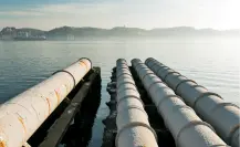 Claudia Sheinbaum planea llevar agua a Tamaulipas desde el Pánuco