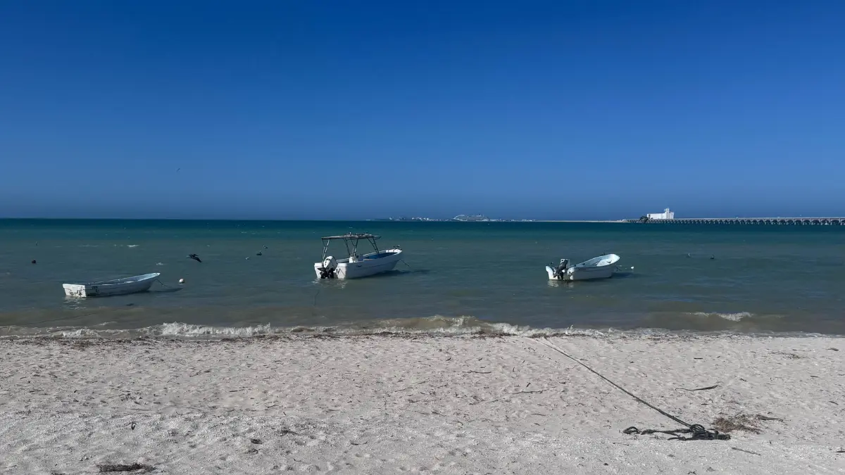 Se tienen contemplados 3 programas para el apoyo a los pescadores Foto: Alejandra Vargas